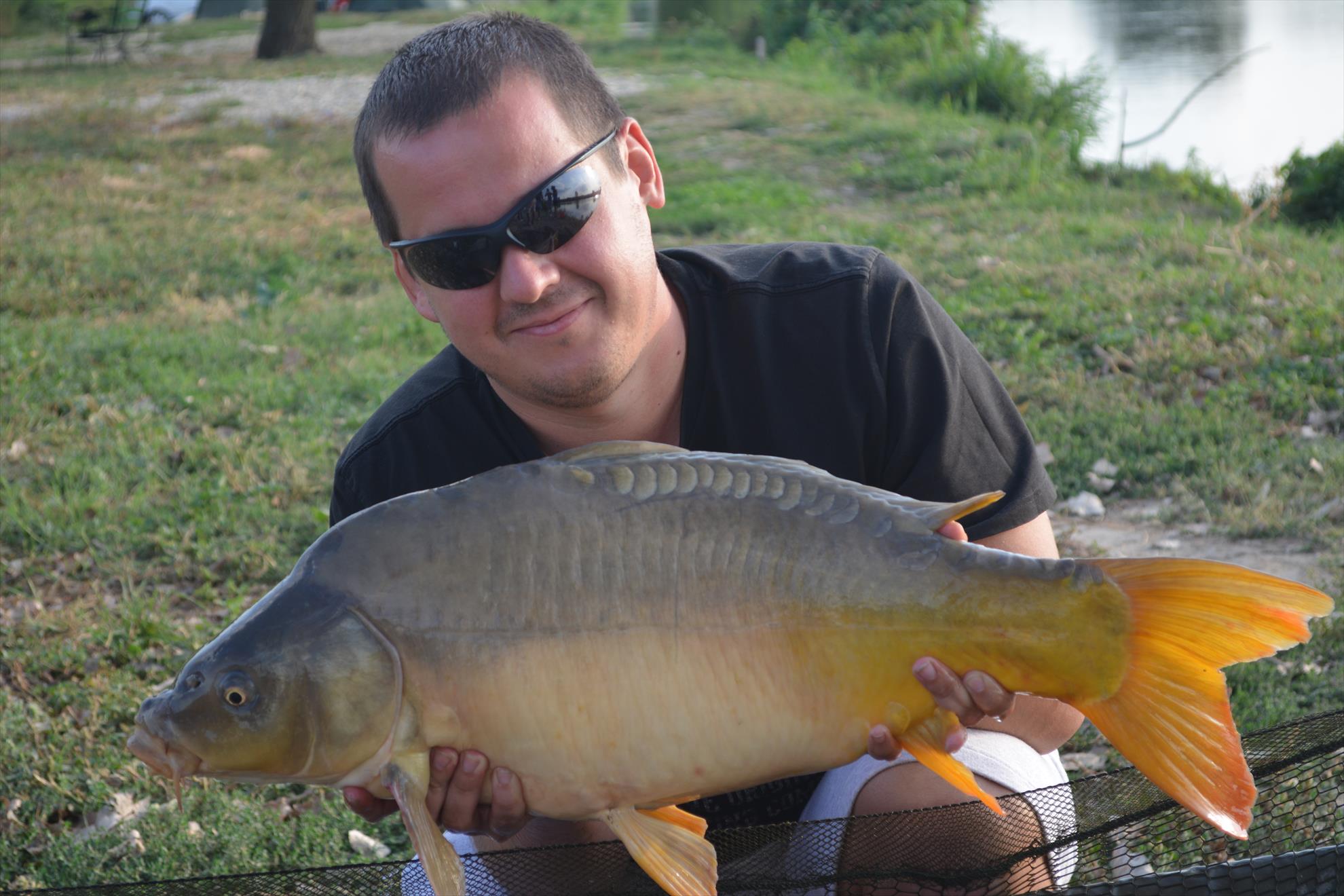 Hermes Peris 12 - 14 septembrie 2014 - dsc0210.JPG